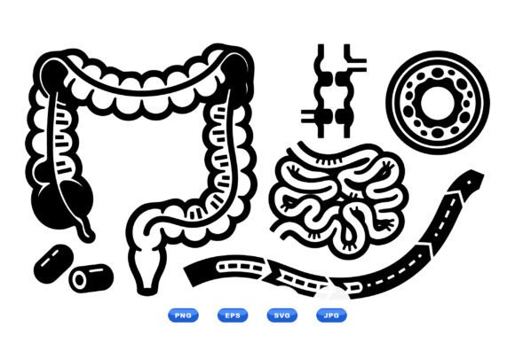 Digestive Anatomy SVG Icons